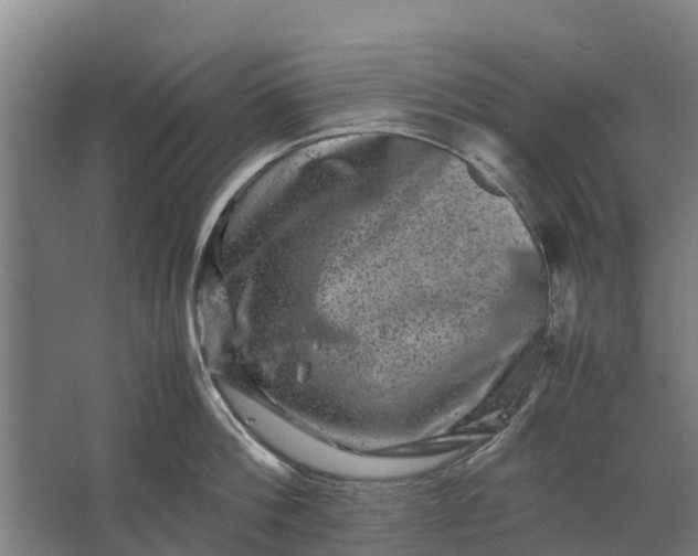 X0000062630812200601041029