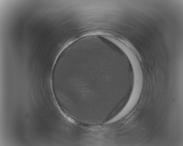 X0000062630813200601041029