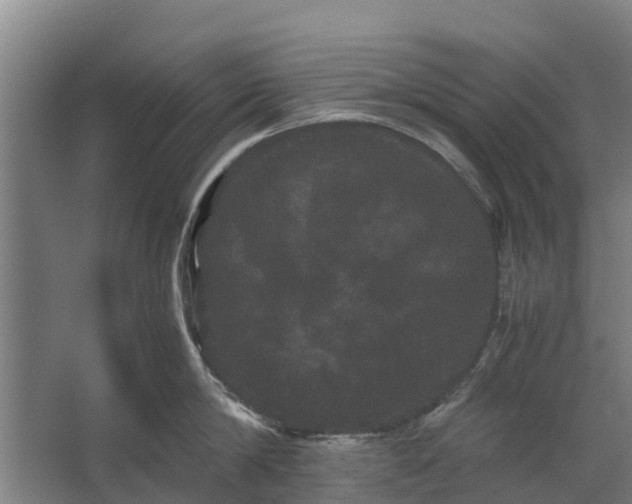 X0000062630814200601041029