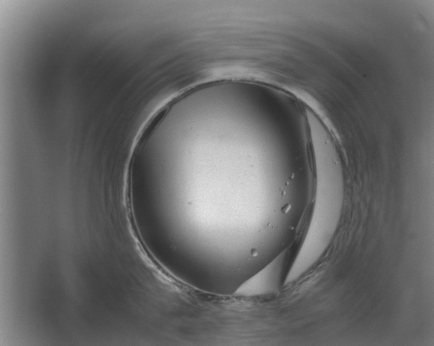 X0000062630815200601041029