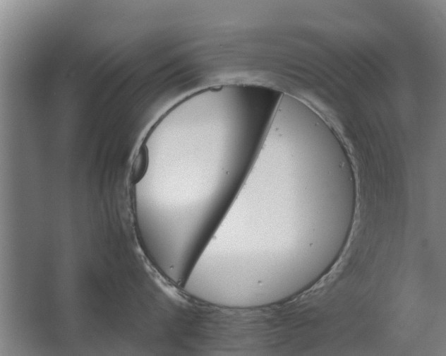 X0000062630816200601041029