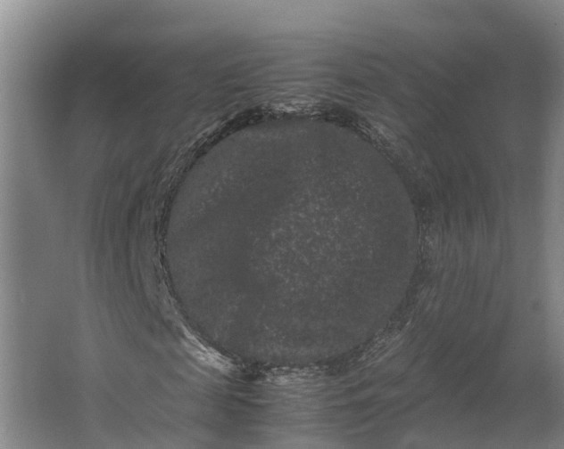 X0000062630817200601041029