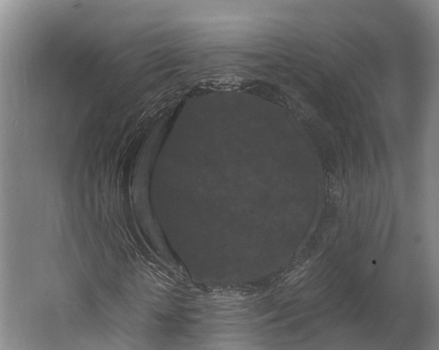 X0000062630818200601041029