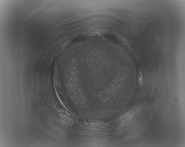 X0000062630819200601041029