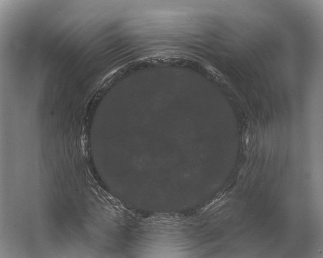 X0000062630822200601041029