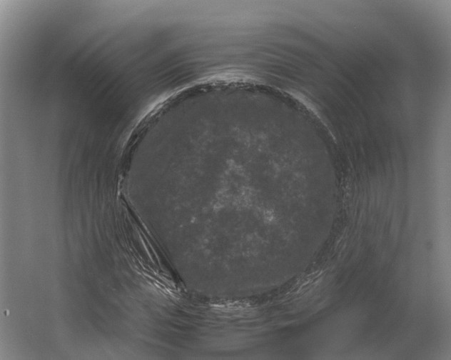 X0000062630823200601041029