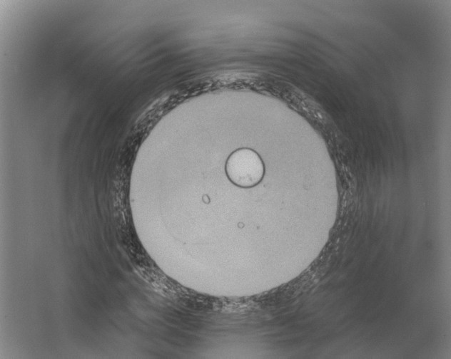 X0000062630824200601041029