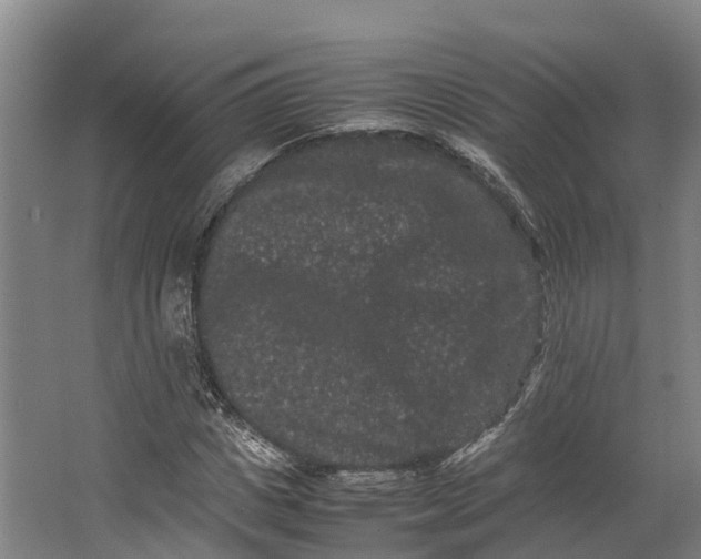 X0000062630825200601041029