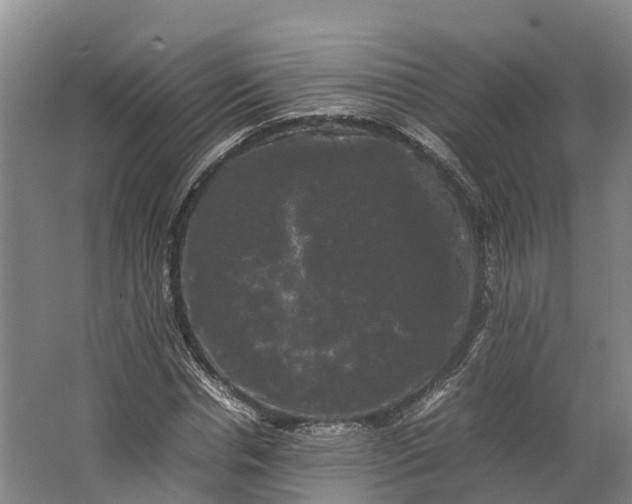 X0000062630826200601041029