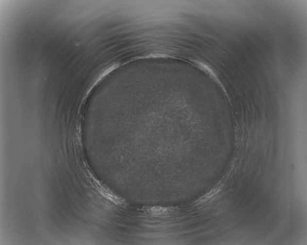 X0000062630827200601041029