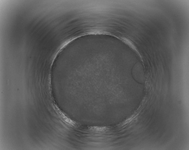 X0000062630831200601041029