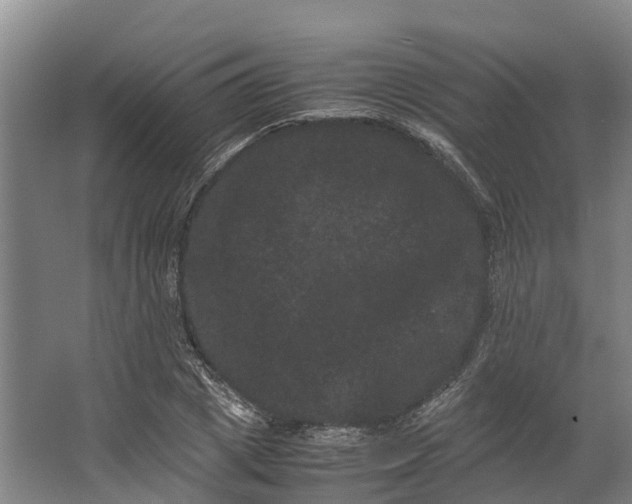 X0000062630833200601041029