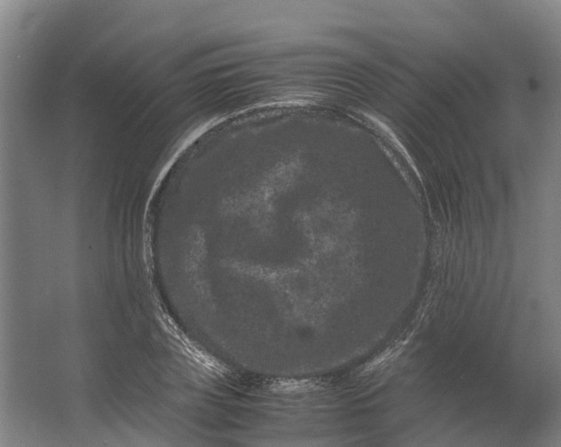 X0000062630835200601041029