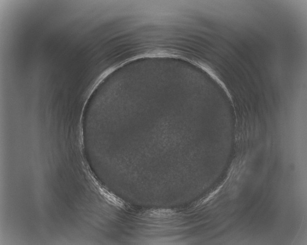 X0000062630837200601041029