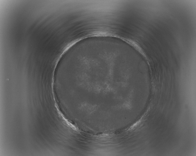 X0000062630839200601041029