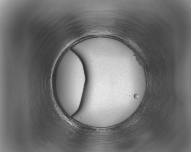 X0000062630840200601041029