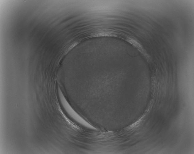 X0000062630841200601041029