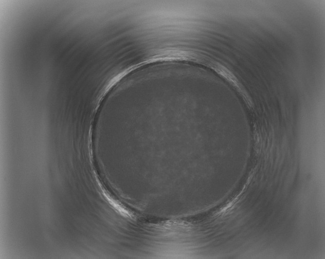 X0000062630842200601041029