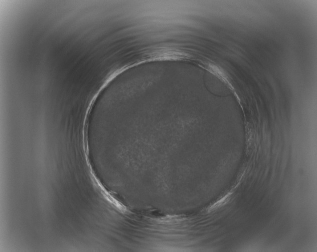 X0000062630843200601041029