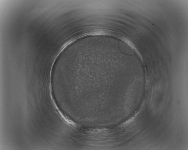 X0000062630845200601041029