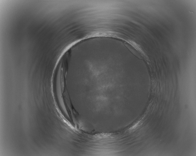 X0000062630846200601041029