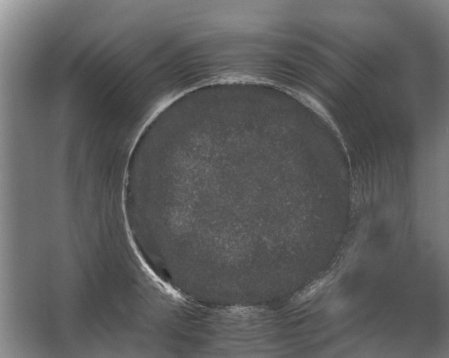 X0000062630847200601041029