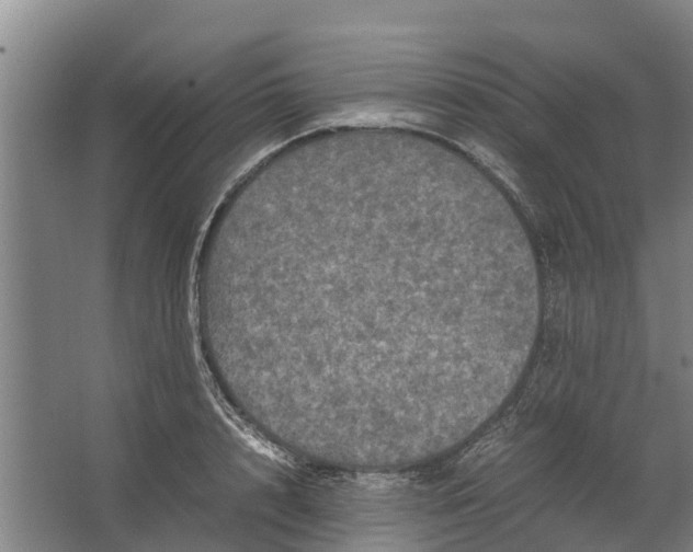 X0000062630848200601041029