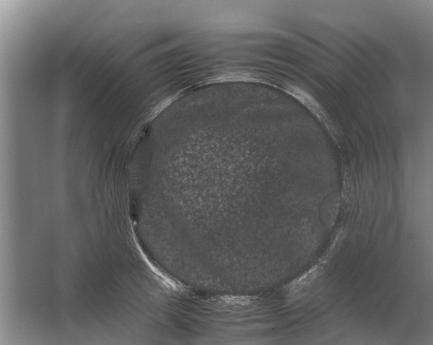 X0000062630849200601041029