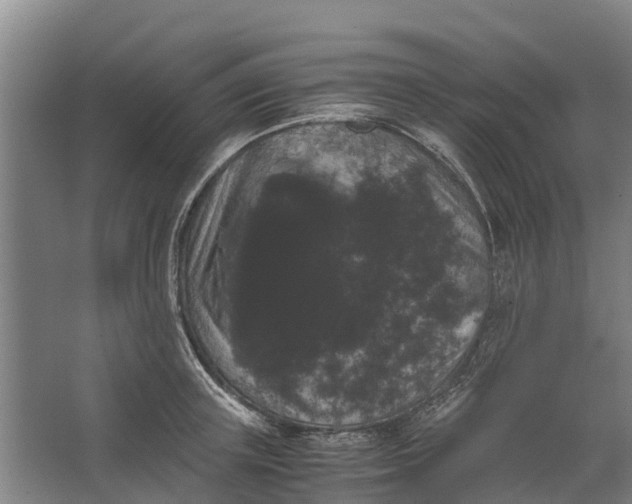 X0000062630851200601041029