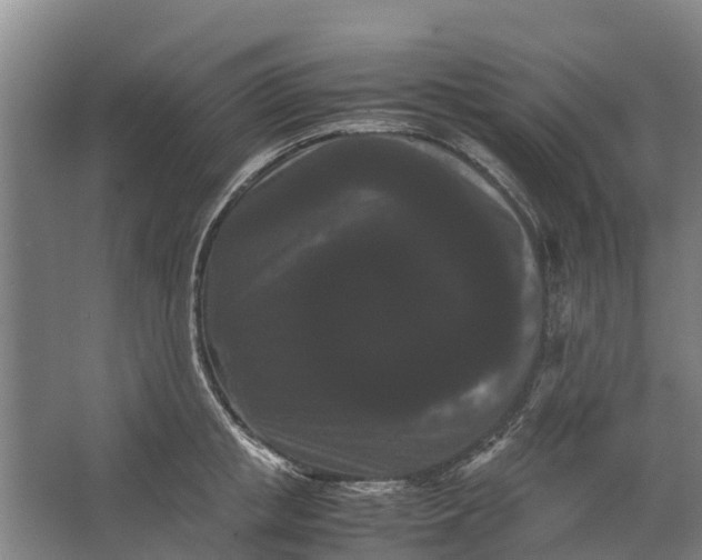 X0000062630853200601041029