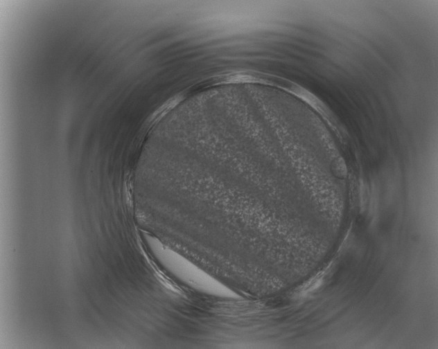 X0000062630857200601041029