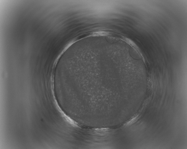 X0000062630859200601041029