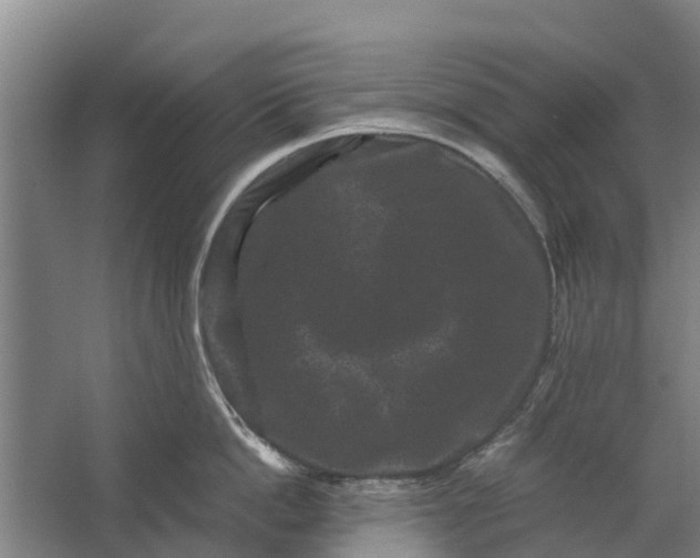 X0000062630862200601041029