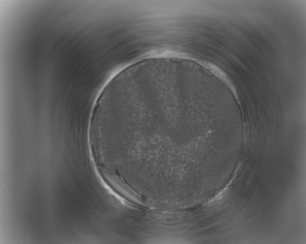 X0000062630863200601041029