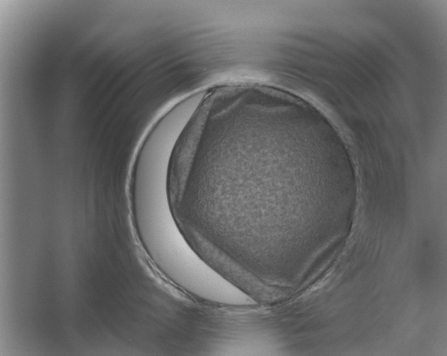 X0000062630864200601041029