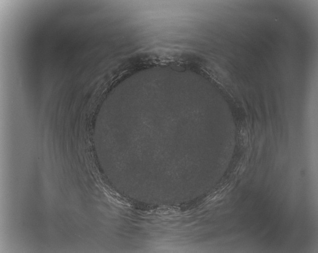 X0000062630865200601041029