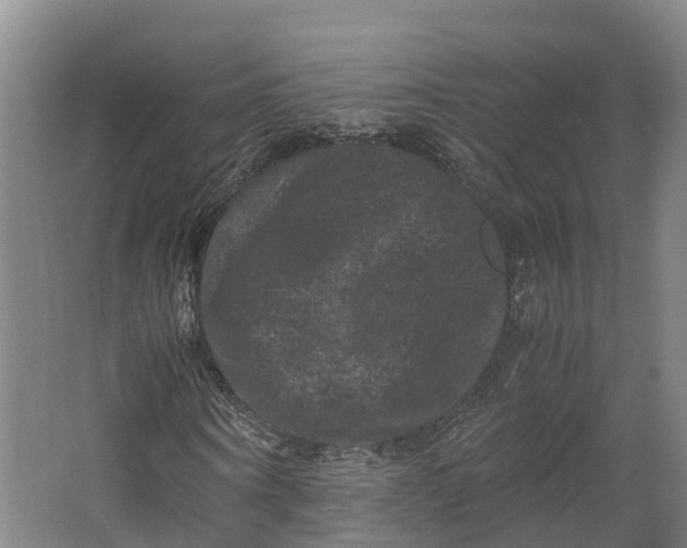 X0000062630866200601041029