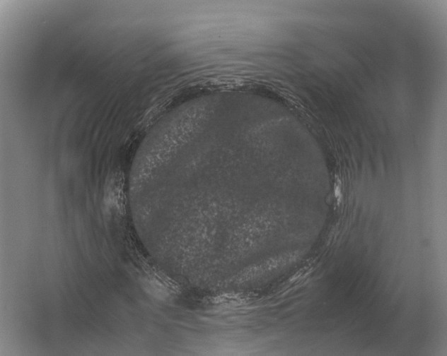 X0000062630867200601041029