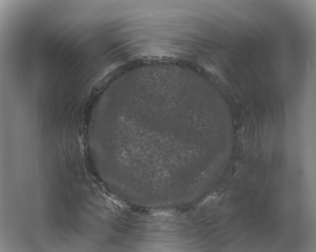 X0000062630870200601041028