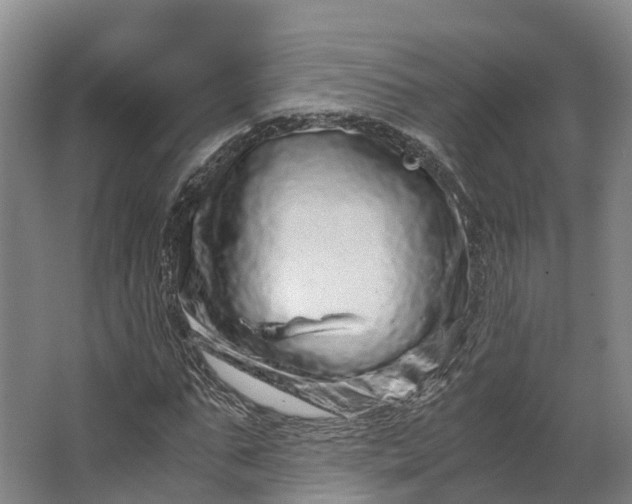 X0000062630871200601041028