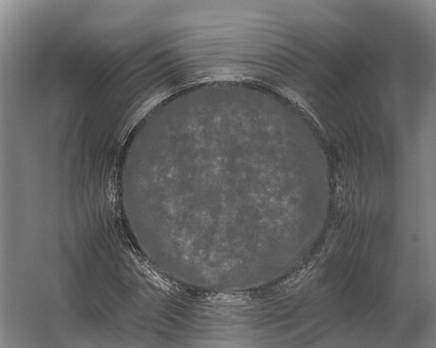 X0000062630874200601041028