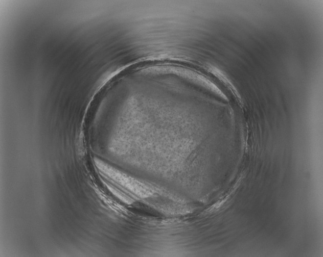 X0000062630876200601041028