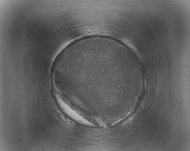 X0000062630877200601041028