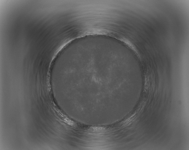 X0000062630878200601041028