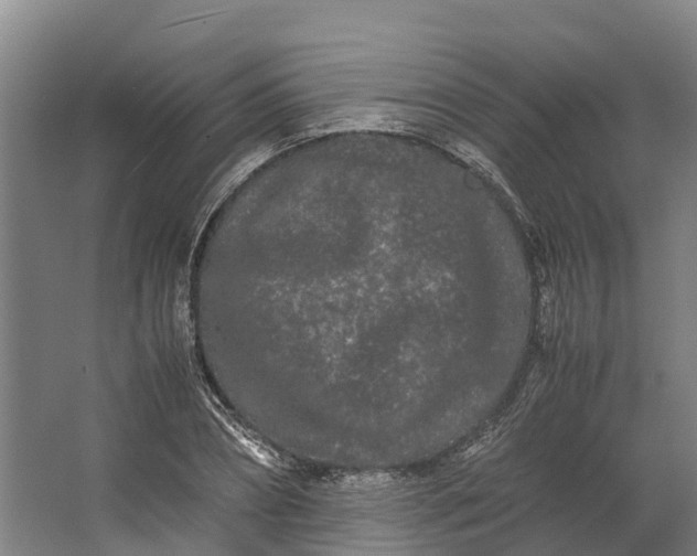 X0000062630882200601041028