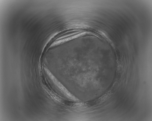 X0000062630883200601041028