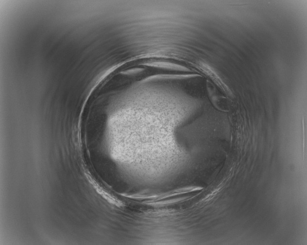 X0000062630884200601041028