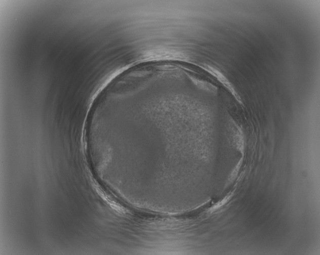 X0000062630885200601041028