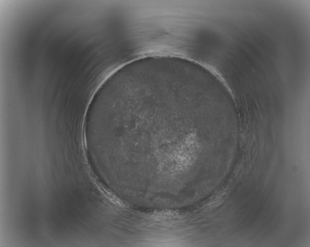 X0000062630887200601041028