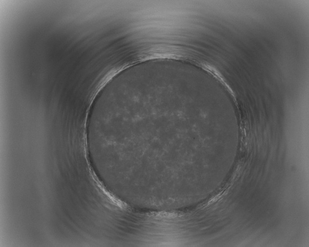 X0000062630890200601041028